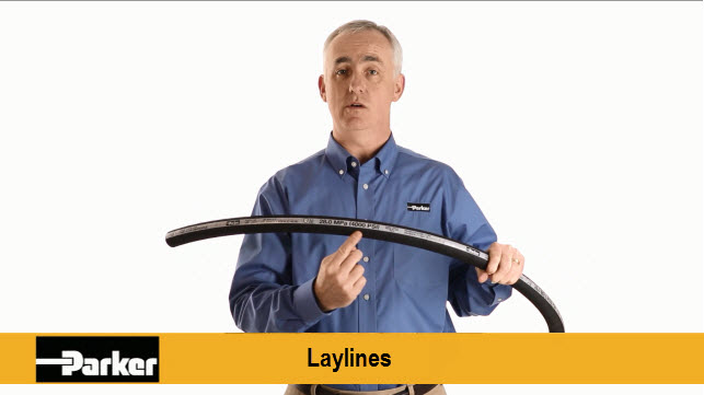 Play Hose Laylines Video